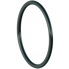 20418 Oring adapter